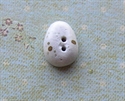 Picture of Speckled Egg Blue
