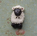 Picture of White Sheep, Black face & feet