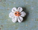 Picture of Little white daisy, Orange centre