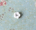 Picture of Forget-Me-Not White