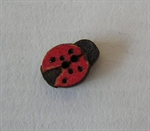 Picture of Lady Beetle