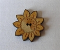 Picture of Sunflower